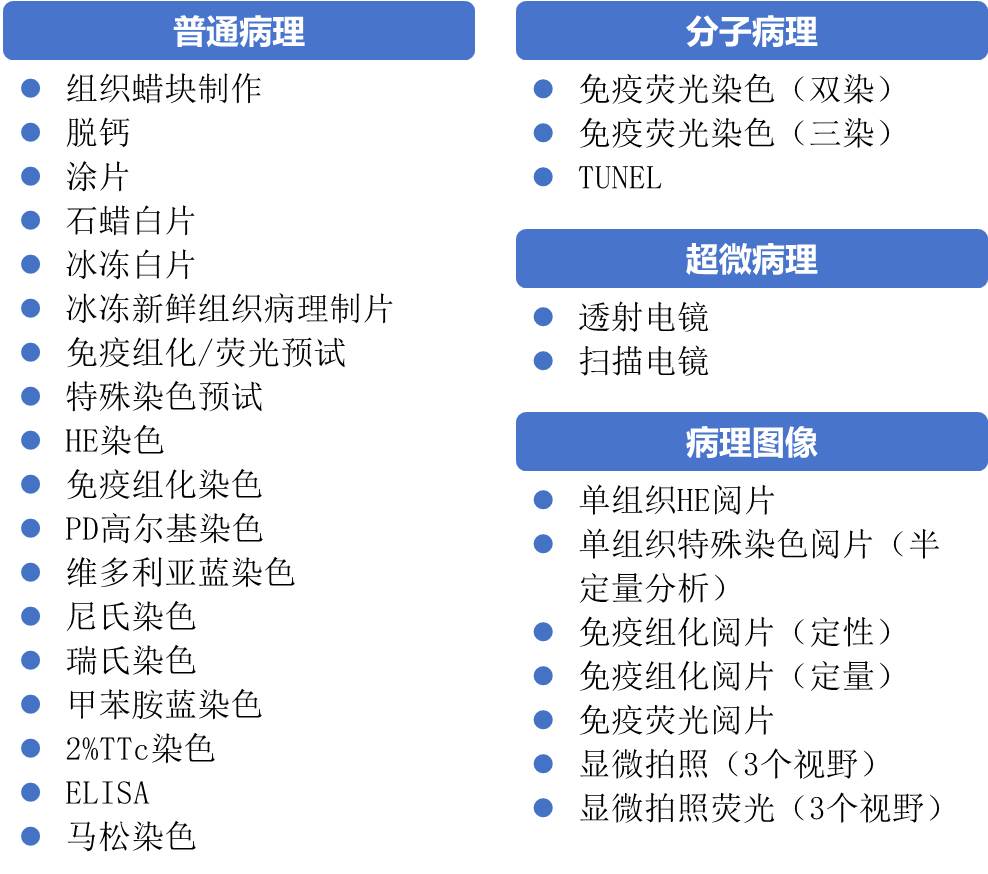 病理技术服务
